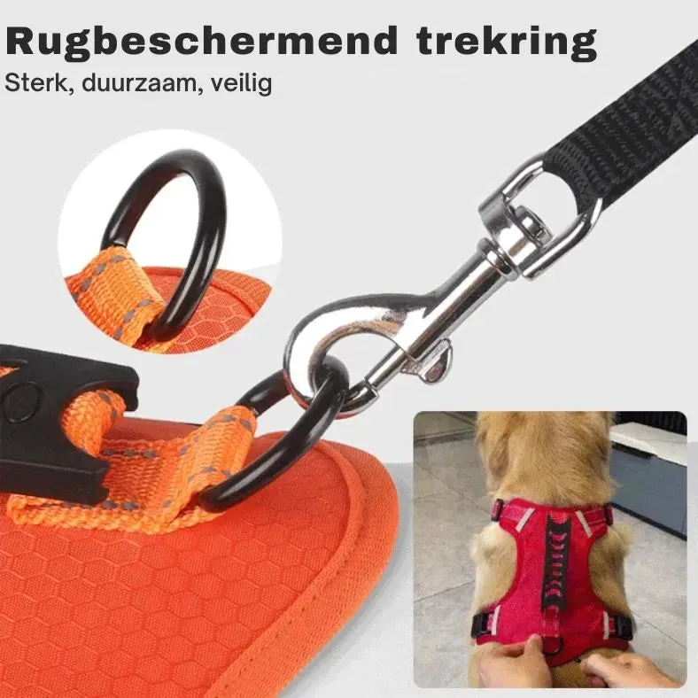 Dog's Reflective Stress-Relieving Harness