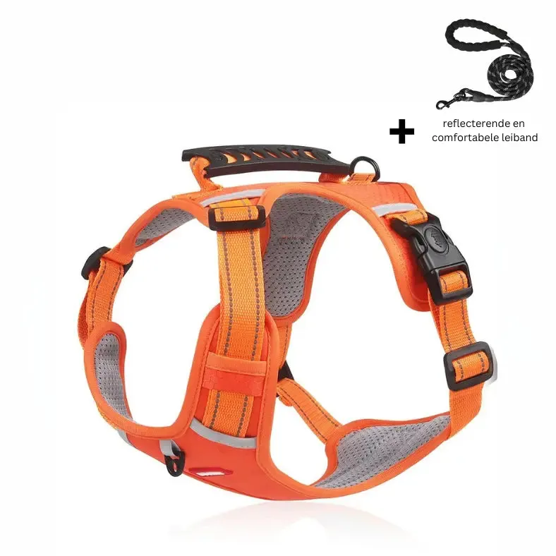 Dog's Reflective Stress-Relieving Harness