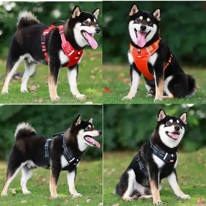 Dog's Reflective Stress-Relieving Harness