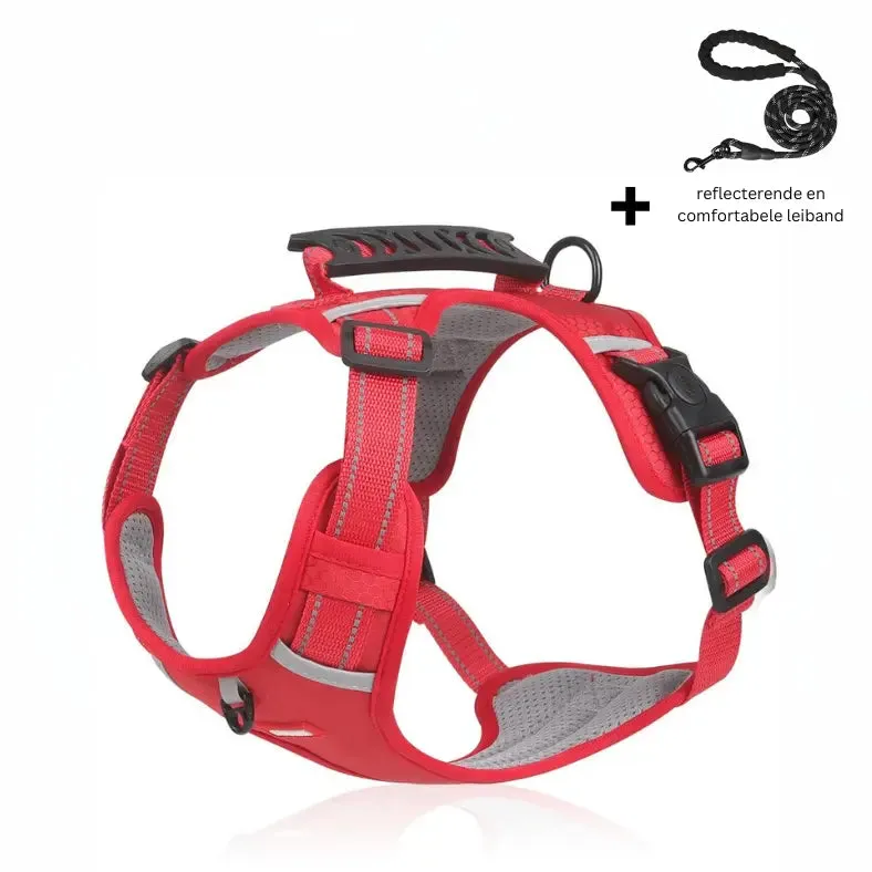 Dog's Reflective Stress-Relieving Harness