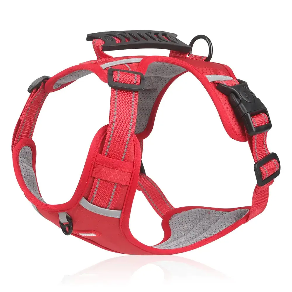 Dog's Reflective Stress-Relieving Harness