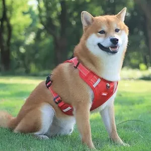 Dog's Reflective Stress-Relieving Harness