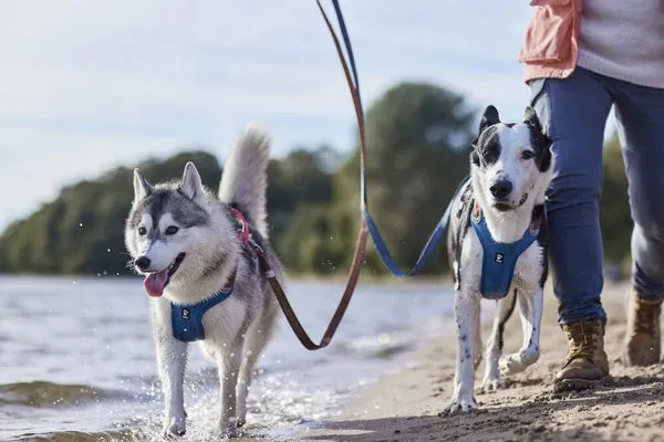 Hurtta Weekend Warrior Dog Harnesses Bilberry Mix 5 Sizes