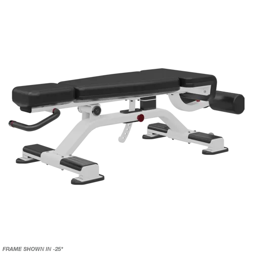 Nautilus Adjustable Decline Bench