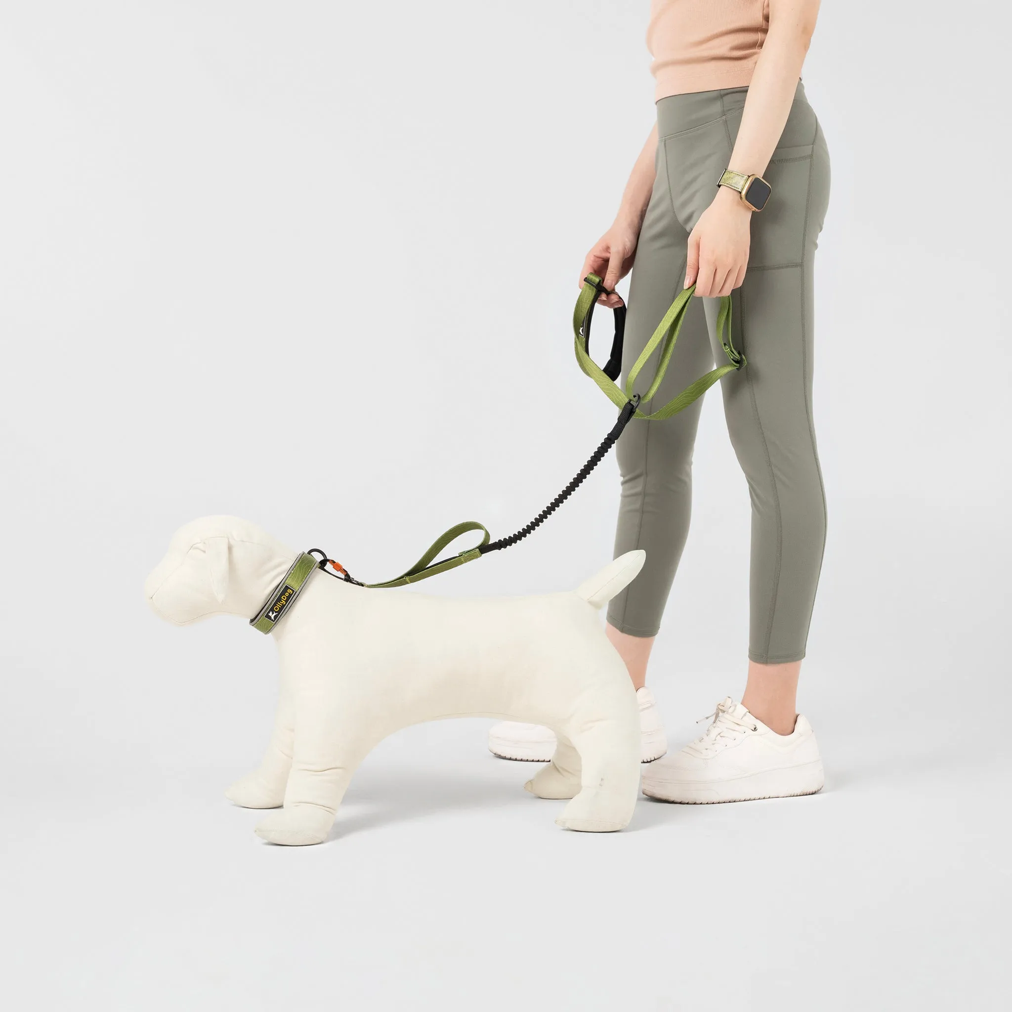 NEW Flagstaff Adjustable Spring Leash | Adjustable Bungee Leash