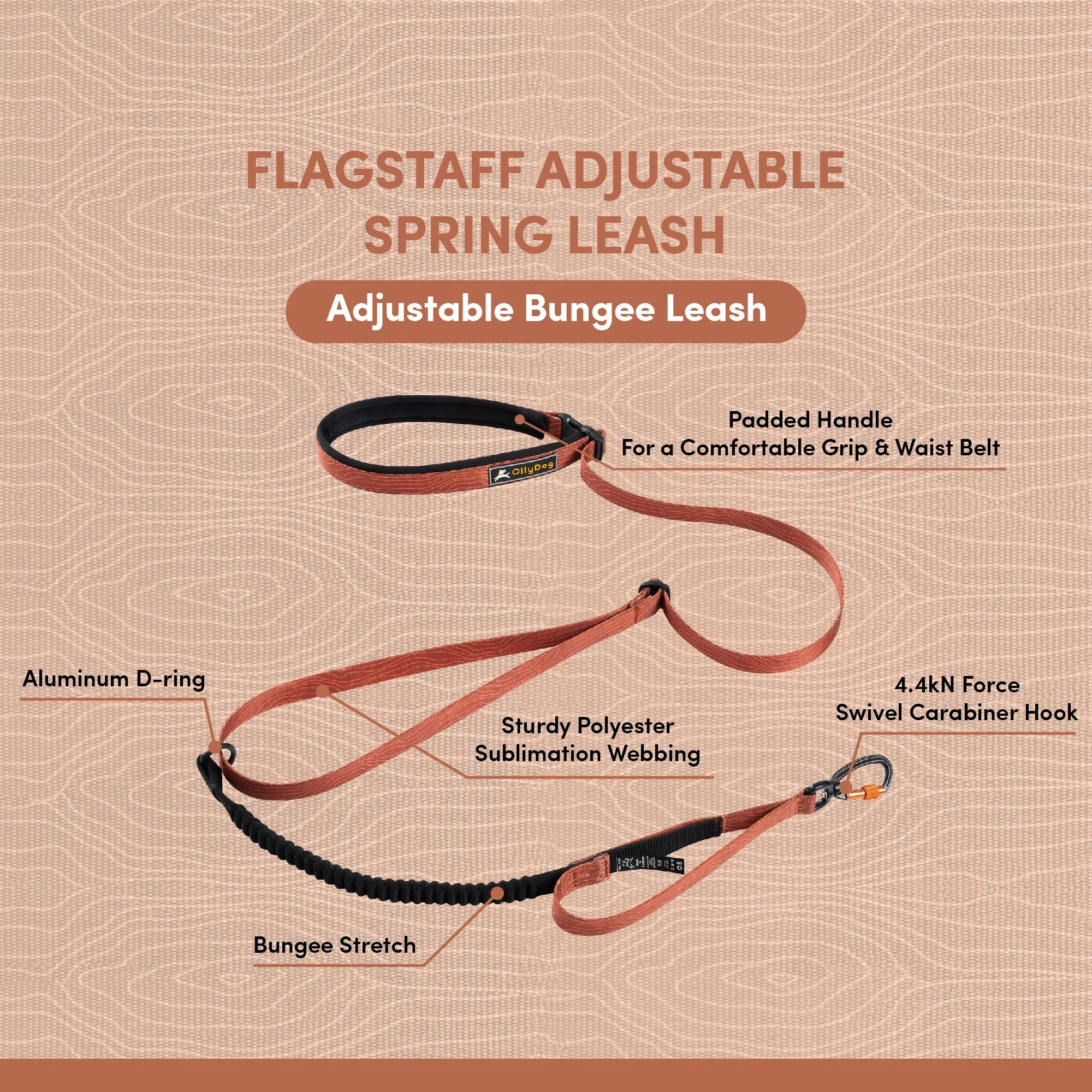 NEW Flagstaff Adjustable Spring Leash | Adjustable Bungee Leash