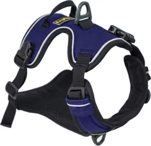 OllyDog Alpine Reflective Harness Atlantic | Buy OllyDog Alpine Reflective Harness Atlantic here | Outnorth