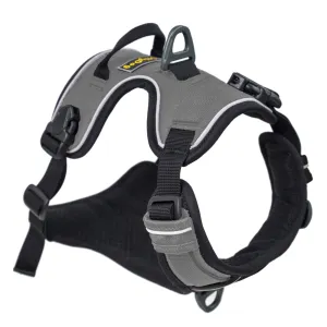 OllyDog Alpine Reflective Harness Flint | Buy OllyDog Alpine Reflective Harness Flint here | Outnorth