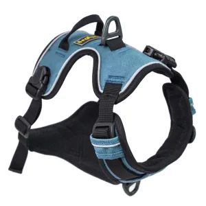 OllyDog Alpine Reflective Harness Malibu | Buy OllyDog Alpine Reflective Harness Malibu here | Outnorth