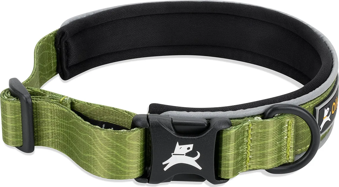 OllyDog Flagstaff Reflective Comfort Collar Cactus | Buy OllyDog Flagstaff Reflective Comfort Collar Cactus here | Outnorth