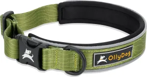 OllyDog Flagstaff Reflective Comfort Collar Cactus | Buy OllyDog Flagstaff Reflective Comfort Collar Cactus here | Outnorth