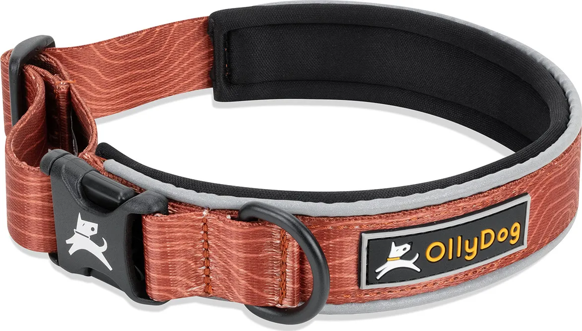 OllyDog Flagstaff Reflective Comfort Collar Clay | Buy OllyDog Flagstaff Reflective Comfort Collar Clay here | Outnorth