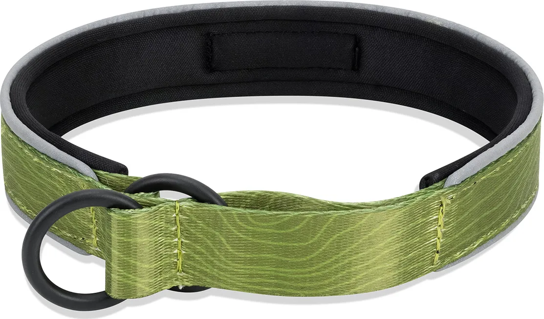 OllyDog Martingale Reflective Comfort Collar Cactus | Buy OllyDog Martingale Reflective Comfort Collar Cactus here | Outnorth