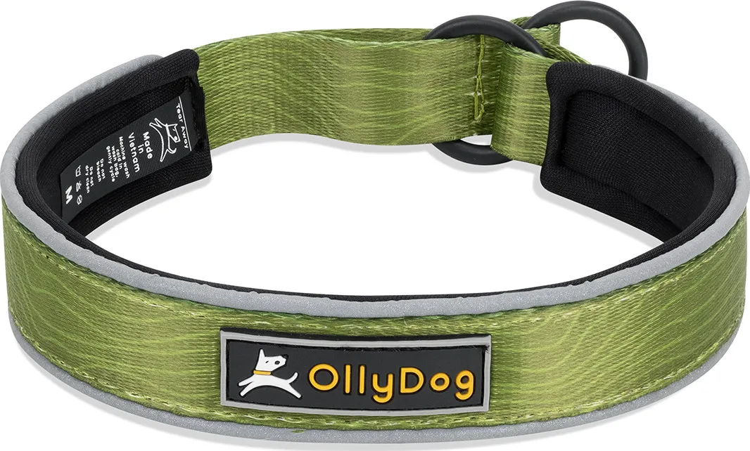 OllyDog Martingale Reflective Comfort Collar Cactus | Buy OllyDog Martingale Reflective Comfort Collar Cactus here | Outnorth