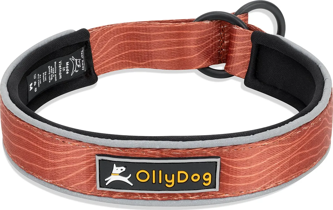 OllyDog Martingale Reflective Comfort Collar Clay | Buy OllyDog Martingale Reflective Comfort Collar Clay here | Outnorth