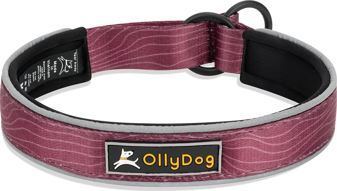 OllyDog Martingale Reflective Comfort Collar Rosewood | Buy OllyDog Martingale Reflective Comfort Collar Rosewood here | Outnorth