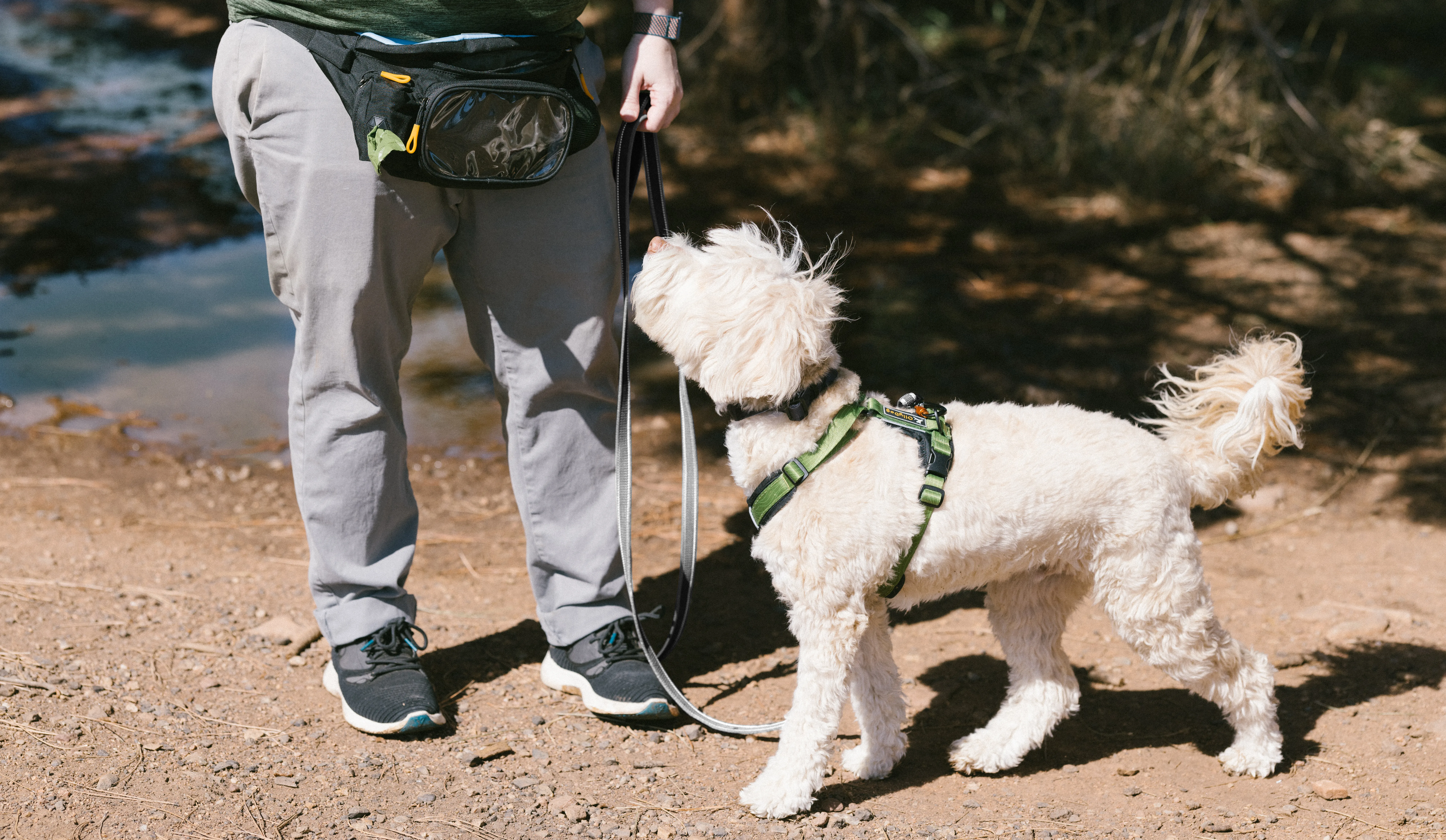 OllyDog Rubber Grip Reflective Leash Raven | Buy OllyDog Rubber Grip Reflective Leash Raven here | Outnorth