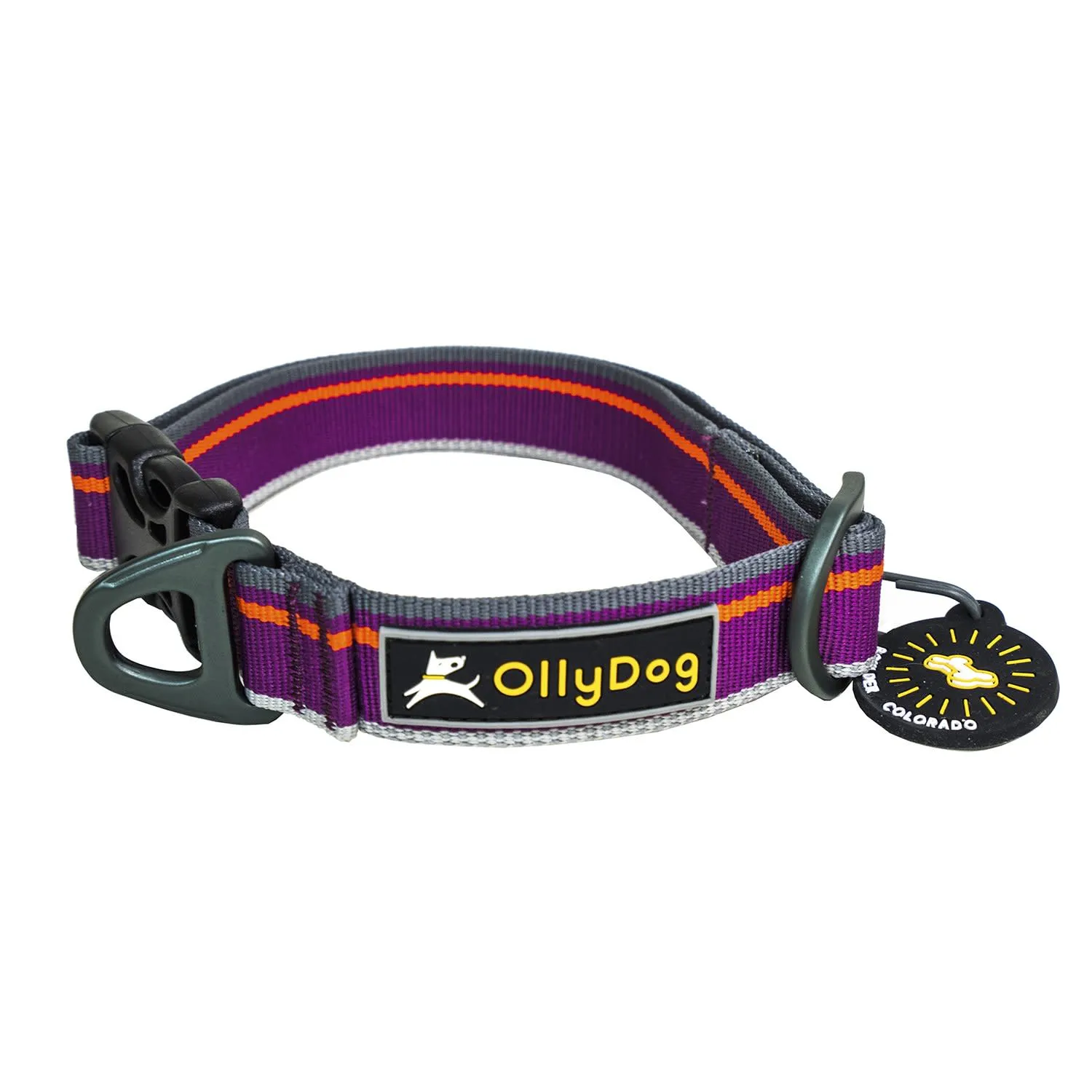 OllyDog Urban Trail Reflective Collar Wild Aster | Buy OllyDog Urban Trail Reflective Collar Wild Aster here | Outnorth