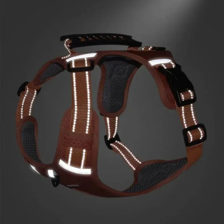 Reflective Stress- Relieving Harness