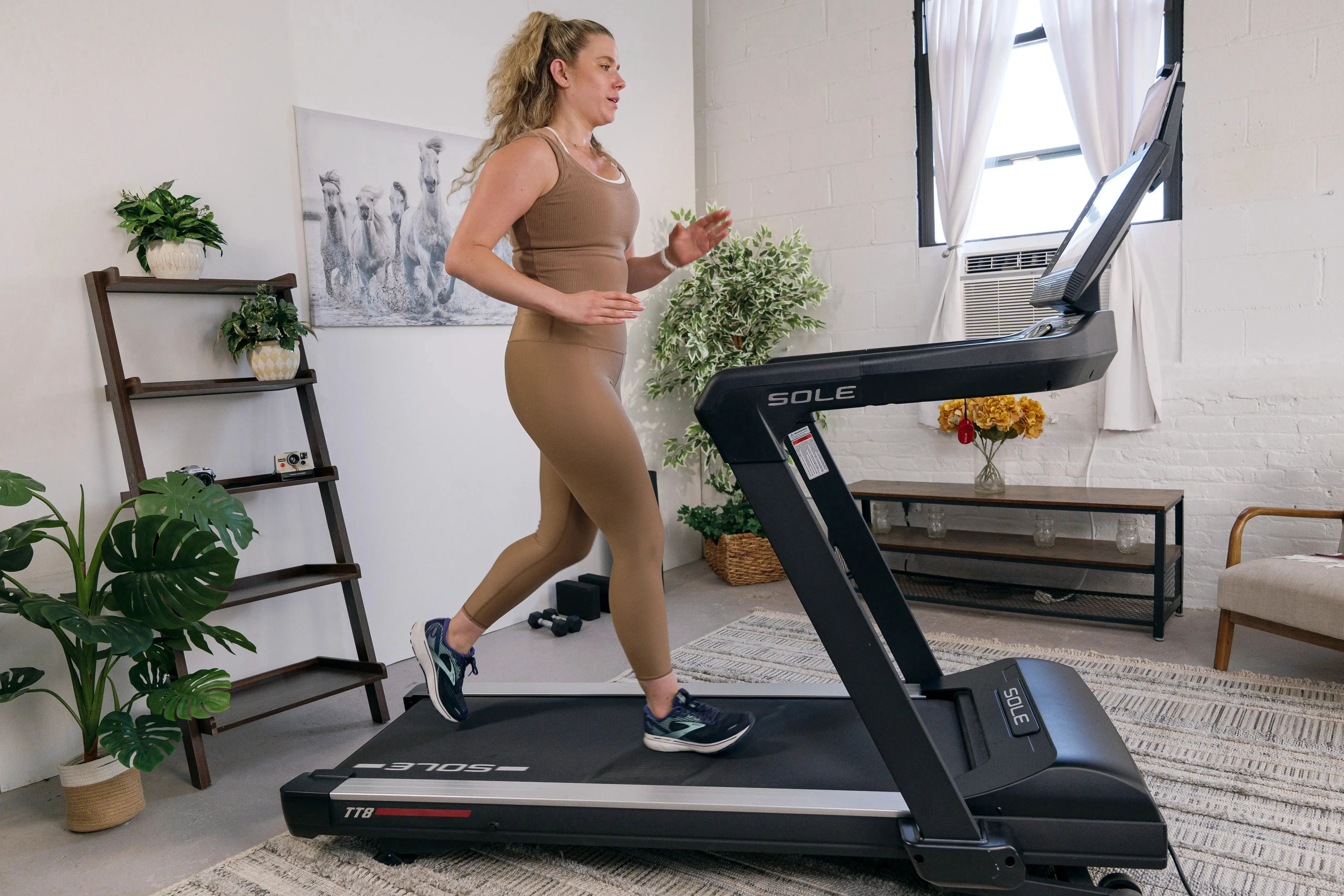 SOLE TT8 Treadmill