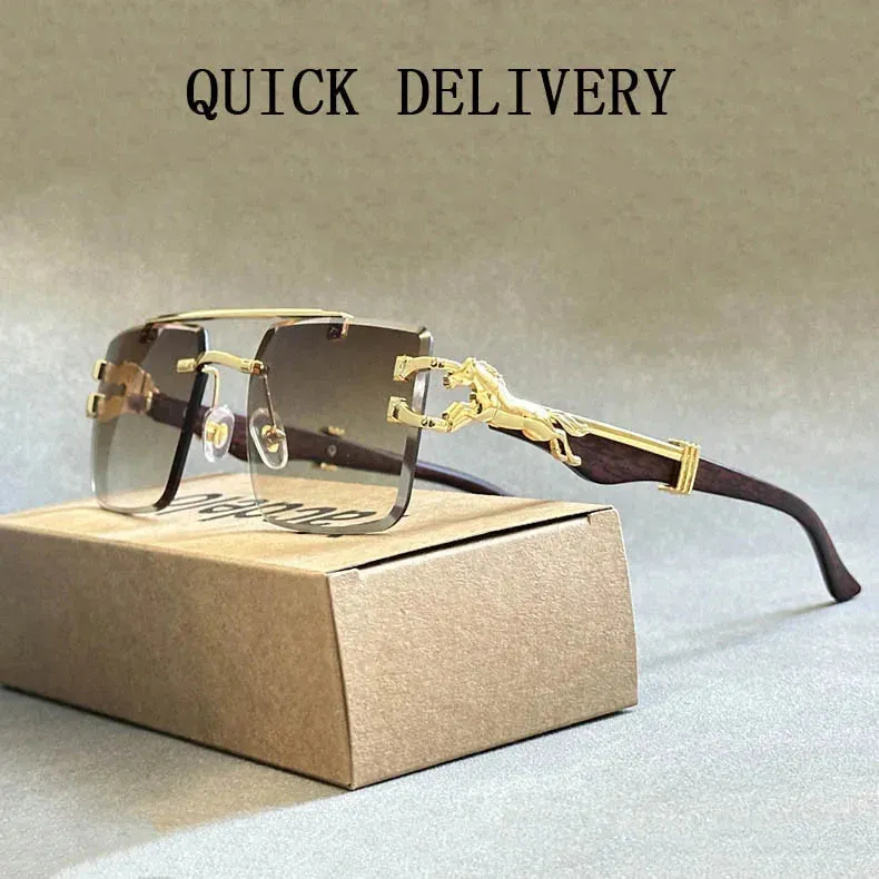 Unisex Vintage Luxury Style Rimless Square Designer Fashion Sunglasses